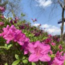 소능 경로당 이미지