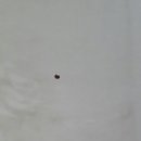 블루크리닝 이미지