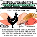 그놈의 닭 이미지