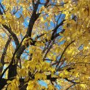 ▪︎왕할머니(간증) 이미지