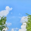 대지로4L | 피부과 &amp; 에스테틱 불친절 후기 + 필라테스 등 운동 강사 문제점