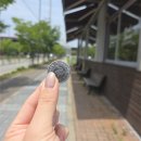 오늘도 통통(김해 부원점) | [봉황동맛집] 아기랑 다녀온 가성비 최고 이탈리안 레스토랑, ‘코지하우스 김해점’ 솔직 후기!