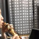 족장(중동점) | 부천 중동점 족장 리얼후기 레알 맛있음