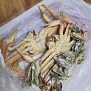 준이수산 이미지