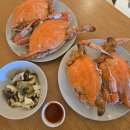 (주)엘리스테이 | 대천 보령 여행 숙소 추천 엘리스테이 리조트 풀빌라 펜션 디럭스 풀 내돈내산 (룸+풀장정보)