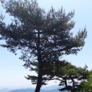 정원테크 이미지