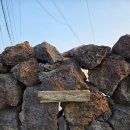 소나기 | 제주숙소 추천 | 평대해변 가까운 여성전용 게스트하우스, '게으른 소나기' 4인실 후기