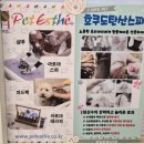 오늘DOG예쁨 이미지