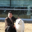 충남켄넬 이미지