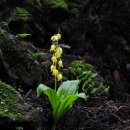 제주의 추억 이미지