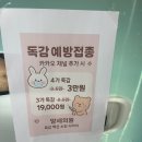 대한산업보건협회부설안산성모의원 이미지