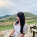 새빌 | 제주시 카페 핑크뮬리 핫플 / 카페 새빌 방문후기