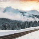 오일로드 이미지