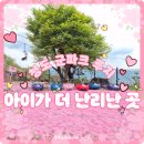 아이가 | 대구에서 40분! 청도 루지 솔직 후기｜아이가 더 좋아했던 군파크 루지