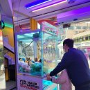 뽑아브러 네이버블로그