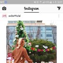 리니다미