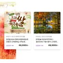 굿모닝여행사 티스토리