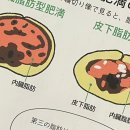 아침해건강식품 | 저속노화 식단 첫번째 저속노화밥 (뜻, 비율)
