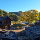 진전농협 하나로마트 이미지