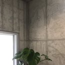 카페프루스트