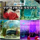 펭귄식당부천점 | 부천 아이와 가볼만한곳 부천 플레이아쿠아리움 할인 주차 공연 팁