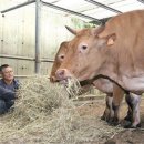 월성농장 이미지