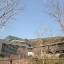 비비큐제천 | 5개월 아기랑 제천 리솜 레스트리 S30 숙박 후기(카페 꿀팁, bbq, 산책, 분유, 체크인)