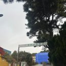 부산세연고등학교 | [공유] 48회 데이터분석 준전문가(ADsP) 후기(비전공/독학, 세연고)