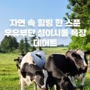 제주 가볼만한곳 추천 | 우유부단에서 즐기는 성이시돌 목장 데이트 &amp; 우유 아이스크림 맛보기