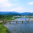봉평메밀 허생원메밀국수 Daum카페