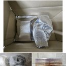 안동식 무말랭이 김치 삶은 시래기 동짓날 팥죽 후기글 감사합니다.