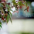 무주펜션 그랜드 이미지