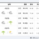 [여객선 운항정보] 2022년 12월4일(일요일) 이미지