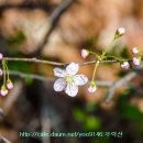 백운통신 이미지