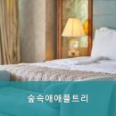 숲속애 애플트리 네이버블로그