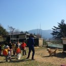 외간초등학교 병설유치원 이미지