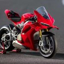 대덕대로(유성-6) 이미지