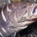 호남수산 이미지