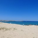 강릉애견하우스 | 강릉 애견동반 감성숙소 가성비 좋고 감성있는 안스게장 게스트 하우스