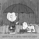 미소셀프세차장 이미지