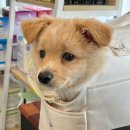 오라고동물병원 이미지