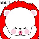 의리포차
