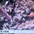 동해송정동철기시대유적 | 강원도 토목담당 주무관님들은 자나깨나 강원도 땅의 청동기시대 유적조심!
