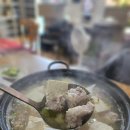 용정리 고인돌 이미지