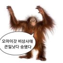 꼴딱꼴딱