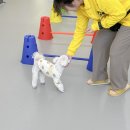 옐레드 동탄예당점 이미지