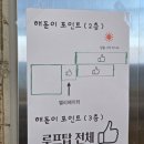 P-5E09 | 강원도 양양 가볼만한 곳 오션뷰 카페 P.E.I 추천 (해돋이 오션뷰 자리 추천)