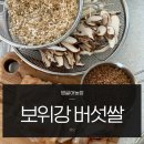 신우식 | 영글어농장 보위강 버섯쌀 효능 유기농현미 이마트버섯쌀 후기 @신스타 신우식 추천