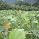 별이네농장 이미지