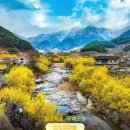 구례전원공인중개사사무소 | 구례 산수유마을 전원,캠핑.농원 개발부지 400고지 그림같은 조망